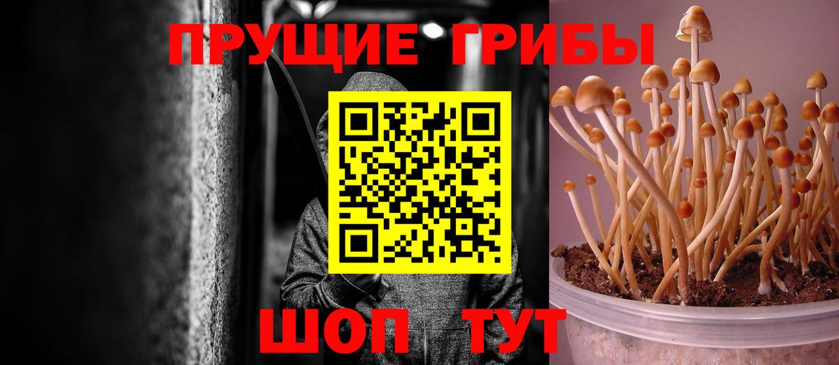 Серпухов  Псилоцибиновые грибы MAGIC MUSHROOMS  Вход с VPN 